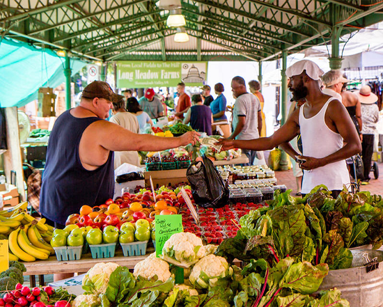 Daily Farm Stand