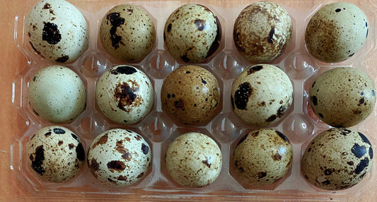 Quail Eggs /15 pk